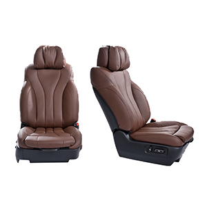 Interior Accessories