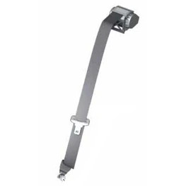 Restraint System and Accessories